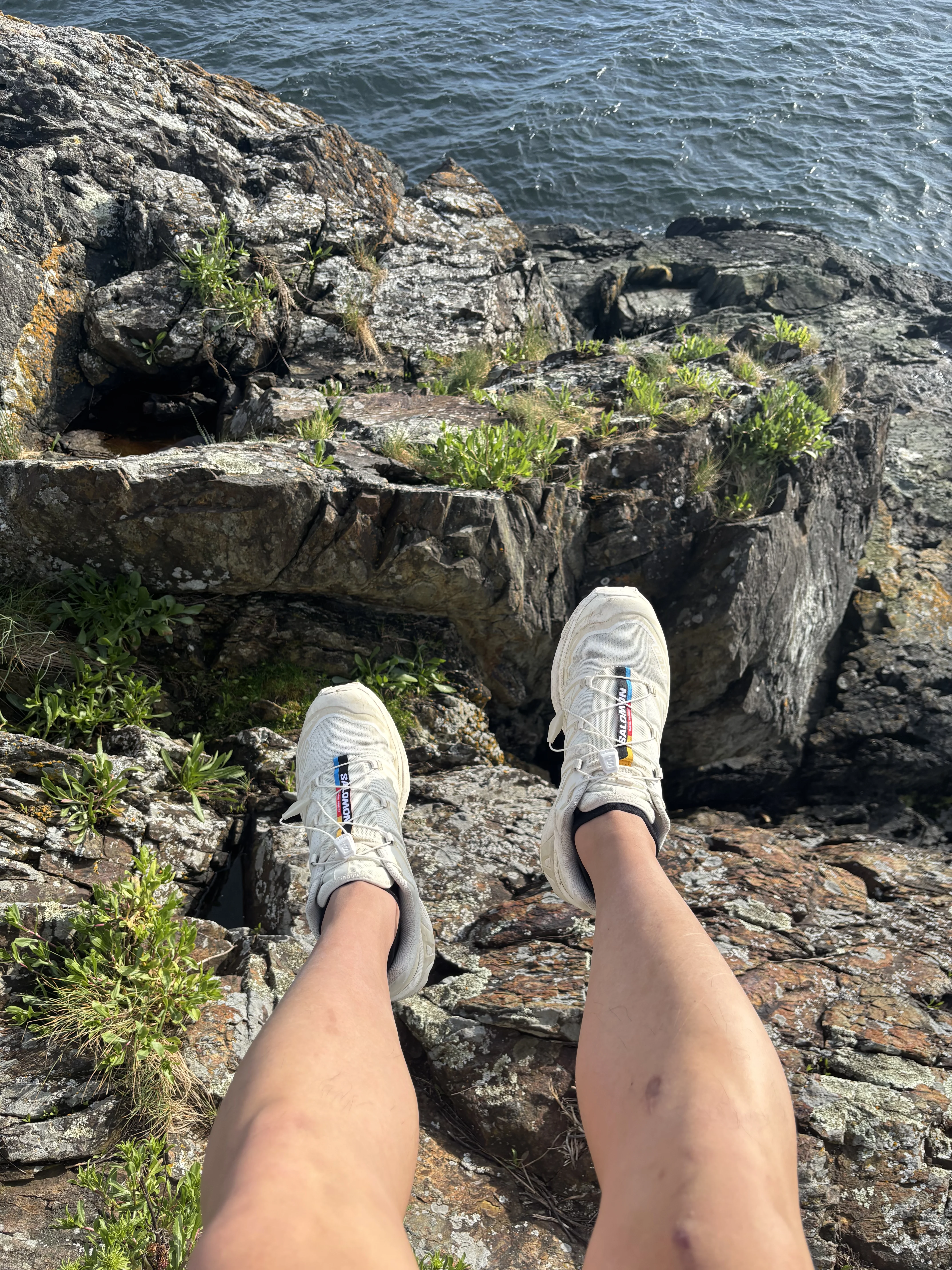 salomons